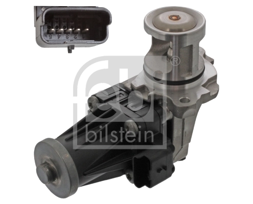 EGR Valve